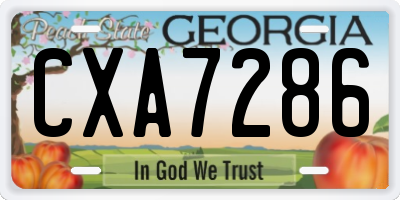 GA license plate CXA7286