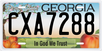 GA license plate CXA7288
