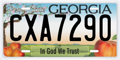 GA license plate CXA7290