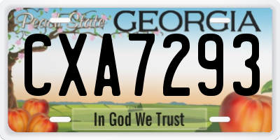 GA license plate CXA7293