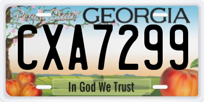 GA license plate CXA7299