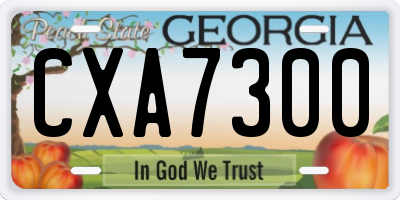 GA license plate CXA7300