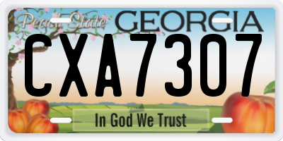 GA license plate CXA7307