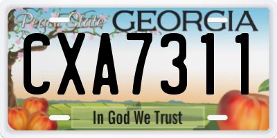 GA license plate CXA7311