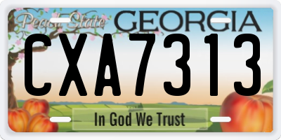 GA license plate CXA7313
