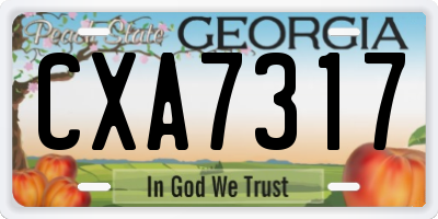 GA license plate CXA7317