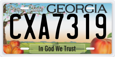 GA license plate CXA7319