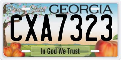 GA license plate CXA7323