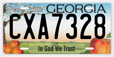 GA license plate CXA7328