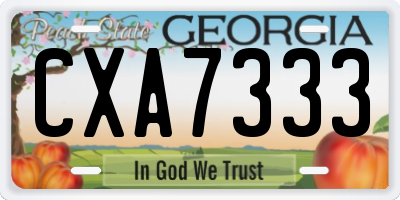 GA license plate CXA7333