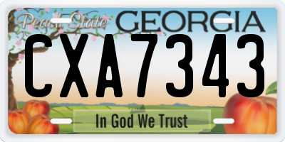 GA license plate CXA7343