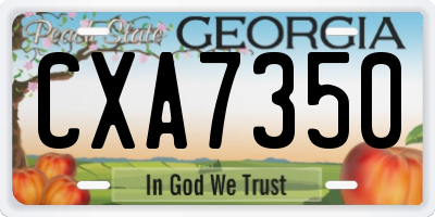 GA license plate CXA7350