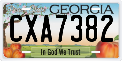 GA license plate CXA7382