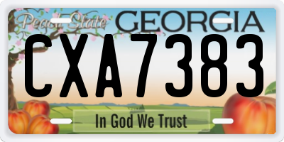 GA license plate CXA7383