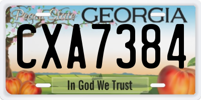 GA license plate CXA7384