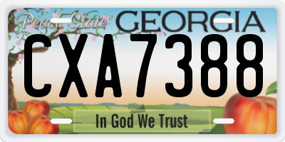 GA license plate CXA7388
