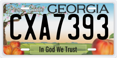GA license plate CXA7393