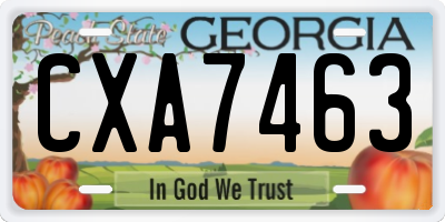 GA license plate CXA7463