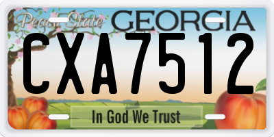 GA license plate CXA7512