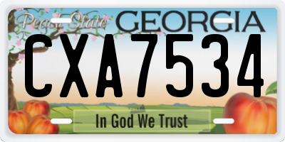 GA license plate CXA7534