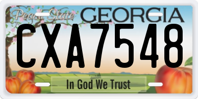 GA license plate CXA7548