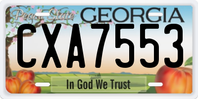 GA license plate CXA7553
