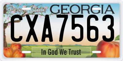 GA license plate CXA7563