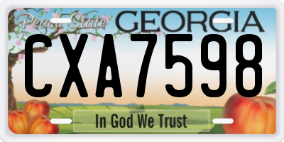 GA license plate CXA7598