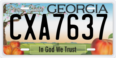 GA license plate CXA7637