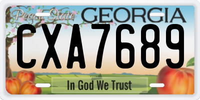 GA license plate CXA7689
