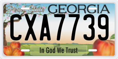 GA license plate CXA7739