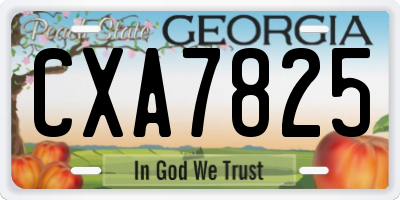 GA license plate CXA7825