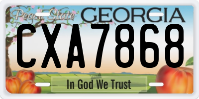 GA license plate CXA7868
