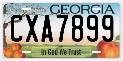 GA license plate CXA7899