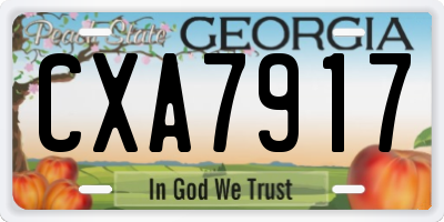 GA license plate CXA7917