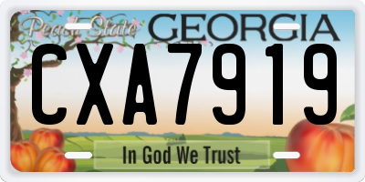 GA license plate CXA7919
