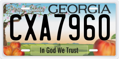 GA license plate CXA7960