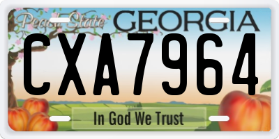 GA license plate CXA7964