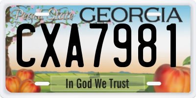 GA license plate CXA7981