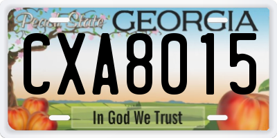 GA license plate CXA8015