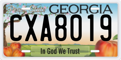 GA license plate CXA8019