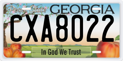 GA license plate CXA8022