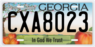 GA license plate CXA8023
