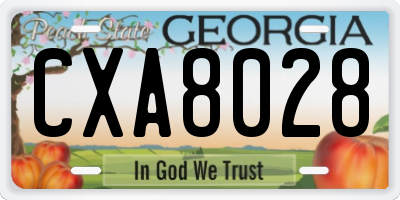 GA license plate CXA8028