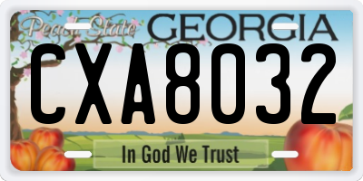 GA license plate CXA8032