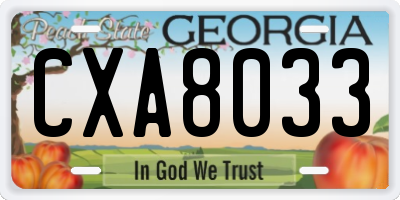 GA license plate CXA8033