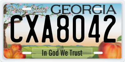 GA license plate CXA8042
