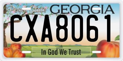 GA license plate CXA8061