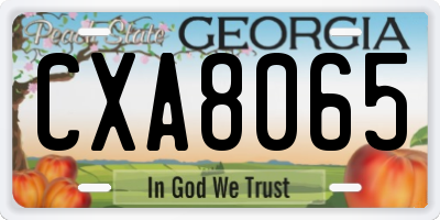 GA license plate CXA8065