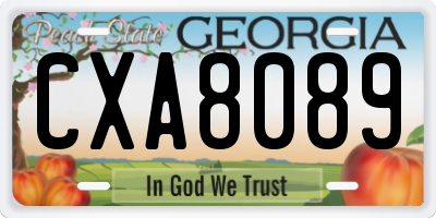 GA license plate CXA8089